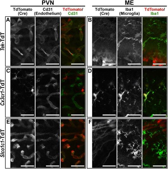 https://cdn.ncbi.nlm.nih.gov/pmc/blobs/470b/5680784/883831cb9ba7/12974_2017_990_Fig3_HTML.jpg