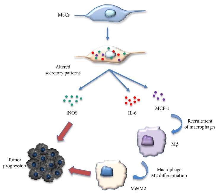 https://cdn.ncbi.nlm.nih.gov/pmc/blobs/470c/5664329/a29f807994e6/SCI2017-4015039.004.jpg