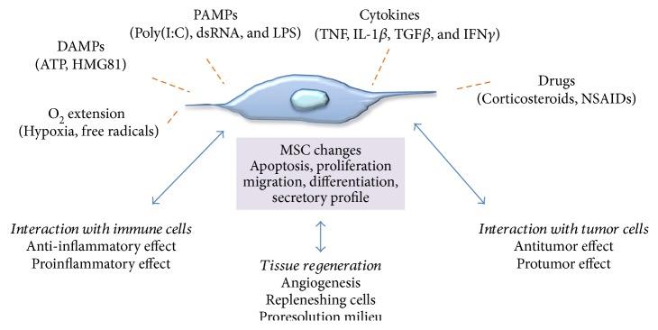 https://cdn.ncbi.nlm.nih.gov/pmc/blobs/470c/5664329/ad20e758bd06/SCI2017-4015039.002.jpg