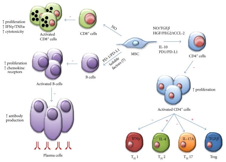https://cdn.ncbi.nlm.nih.gov/pmc/blobs/470c/5664329/b520d7d545b9/SCI2017-4015039.005.jpg
