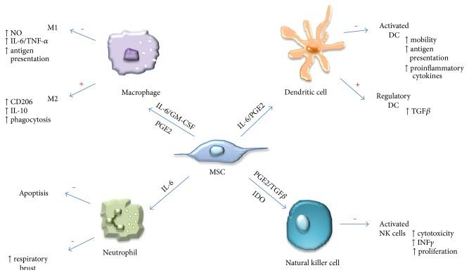 https://cdn.ncbi.nlm.nih.gov/pmc/blobs/470c/5664329/d7bf6ed6cf0a/SCI2017-4015039.003.jpg