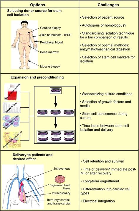 https://cdn.ncbi.nlm.nih.gov/pmc/blobs/470d/4357059/59bed275a245/13287_2015_10_Fig3_HTML.jpg