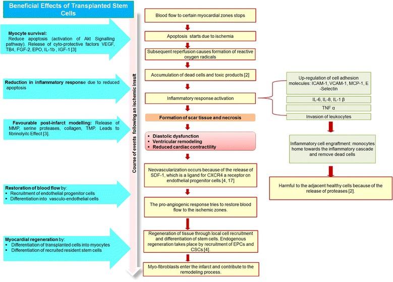 https://cdn.ncbi.nlm.nih.gov/pmc/blobs/470d/4357059/c95e0ce1cb29/13287_2015_10_Fig2_HTML.jpg
