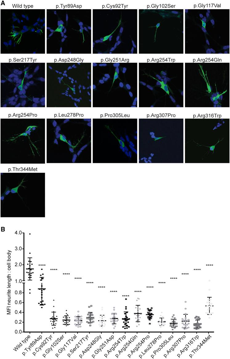 https://cdn.ncbi.nlm.nih.gov/pmc/blobs/470d/8756540/0379ac16c6a6/gr4.jpg