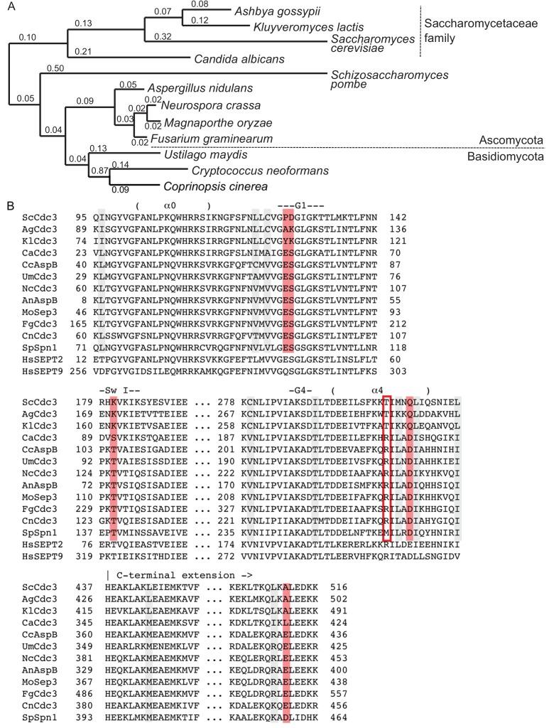 https://cdn.ncbi.nlm.nih.gov/pmc/blobs/470e/7056273/18da03bdb849/elife-54355-fig4-figsupp1.jpg