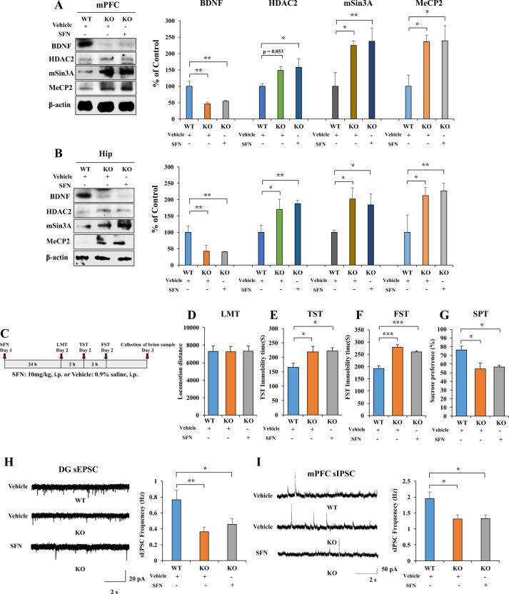 https://cdn.ncbi.nlm.nih.gov/pmc/blobs/470e/7904924/5d7d8fe8b71b/41398_2021_1261_Fig4_HTML.jpg