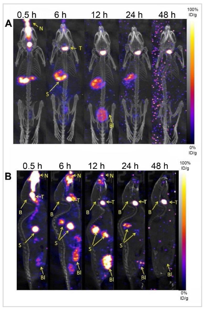 https://cdn.ncbi.nlm.nih.gov/pmc/blobs/470f/11388076/147a9cad6803/thnov14p5022g004.jpg