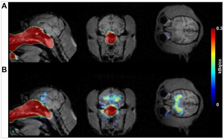 https://cdn.ncbi.nlm.nih.gov/pmc/blobs/470f/11388076/3b829c4997e8/thnov14p5022g006.jpg