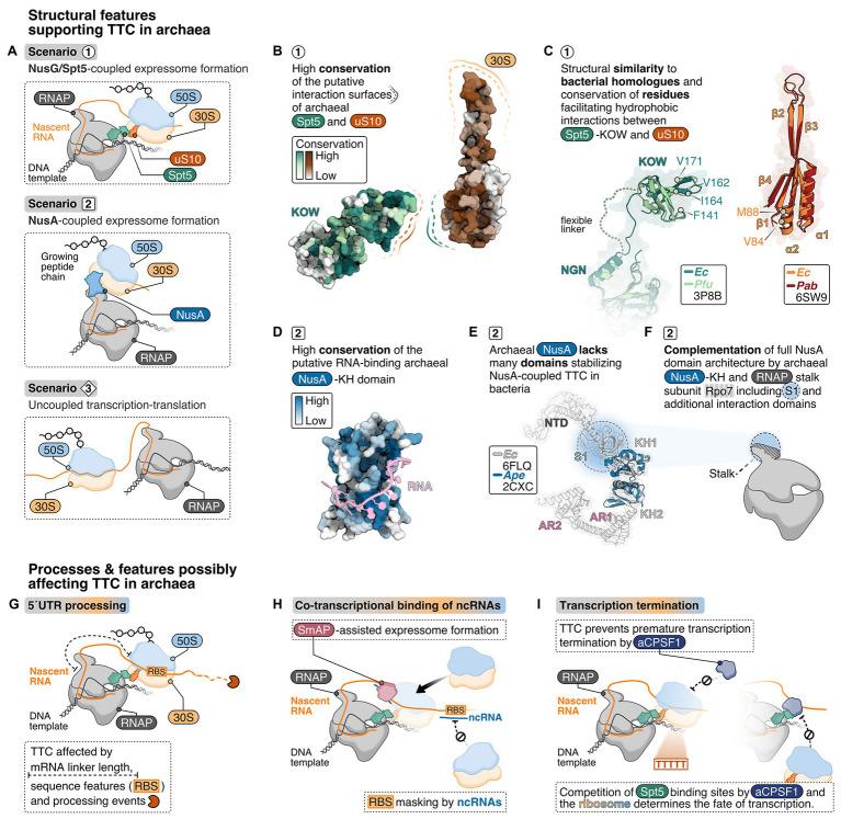 https://cdn.ncbi.nlm.nih.gov/pmc/blobs/4710/8116511/71b1e481c6f7/fmicb-12-661827-g002.jpg
