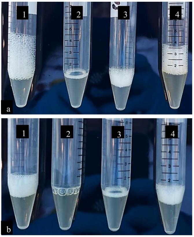 https://cdn.ncbi.nlm.nih.gov/pmc/blobs/4711/10302856/f8ad61d9d911/pathogens-12-00853-g001.jpg