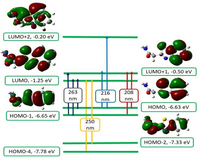 https://cdn.ncbi.nlm.nih.gov/pmc/blobs/4711/12228175/5d925b5943a6/13065_2025_1576_Fig12_HTML.jpg