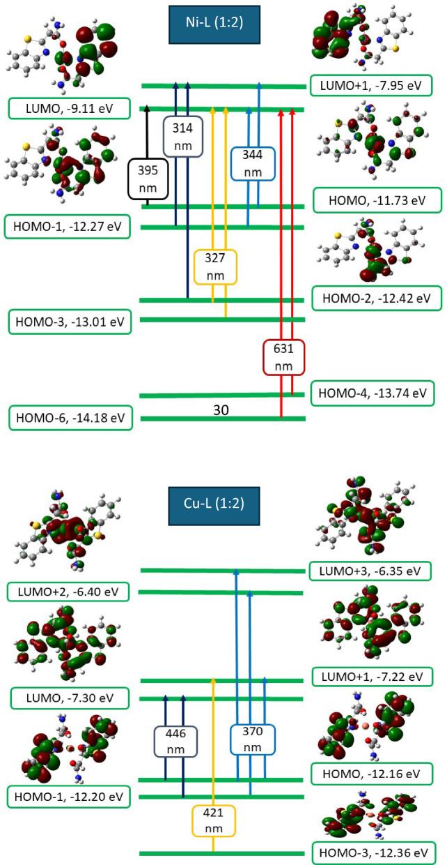 https://cdn.ncbi.nlm.nih.gov/pmc/blobs/4711/12228175/f6fd99df5f1f/13065_2025_1576_Fig13_HTML.jpg