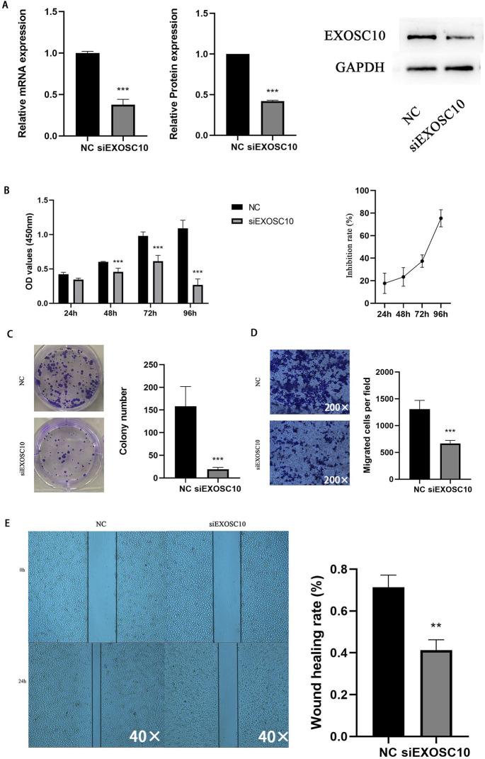 https://cdn.ncbi.nlm.nih.gov/pmc/blobs/4713/10494838/9722f77ad873/peerj-11-15860-g006.jpg