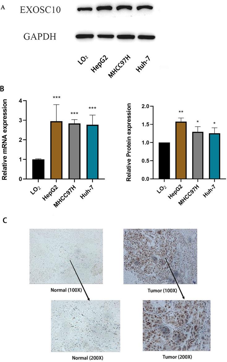 https://cdn.ncbi.nlm.nih.gov/pmc/blobs/4713/10494838/c50b49ccea30/peerj-11-15860-g005.jpg