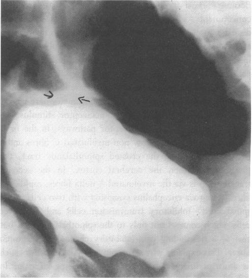 https://cdn.ncbi.nlm.nih.gov/pmc/blobs/4713/1297435/f2cd8fb1262f/jrsocmed00003-0040-a.jpg