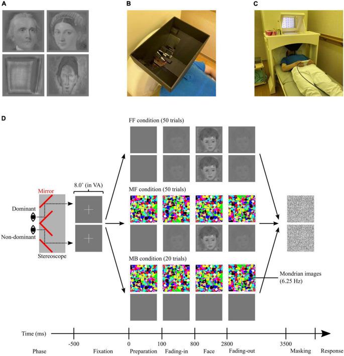 https://cdn.ncbi.nlm.nih.gov/pmc/blobs/4715/11159128/03e5ee48e0d4/fnins-18-1339479-g001.jpg