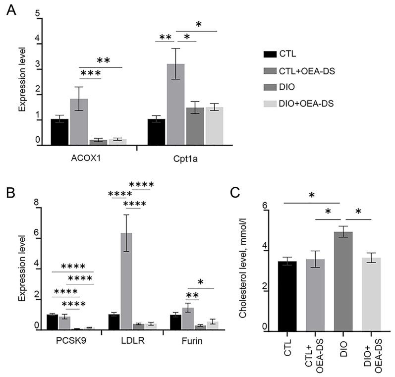 https://cdn.ncbi.nlm.nih.gov/pmc/blobs/4715/12015875/08d466ed3ceb/pathophysiology-32-00016-g005.jpg