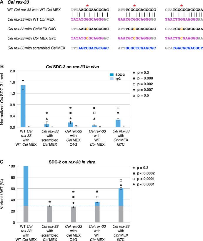 https://cdn.ncbi.nlm.nih.gov/pmc/blobs/4717/10076027/9d7e1537f80e/elife-85413-fig13.jpg