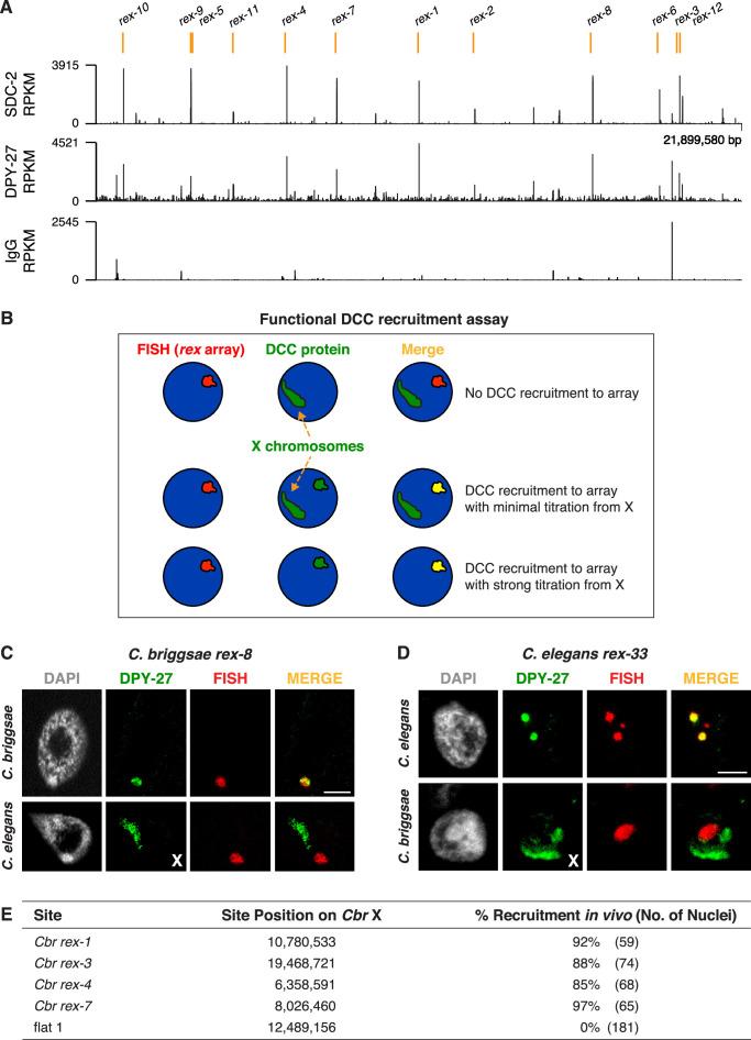 https://cdn.ncbi.nlm.nih.gov/pmc/blobs/4717/10076027/b569307c2fe9/elife-85413-fig4.jpg