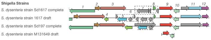 https://cdn.ncbi.nlm.nih.gov/pmc/blobs/4718/4445032/17b2ad94db0c/fnv011fig1.jpg