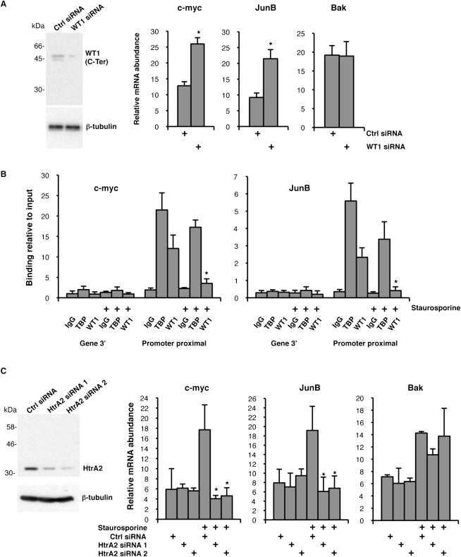 https://cdn.ncbi.nlm.nih.gov/pmc/blobs/471b/2815029/e806c1ab45c1/gr6.jpg