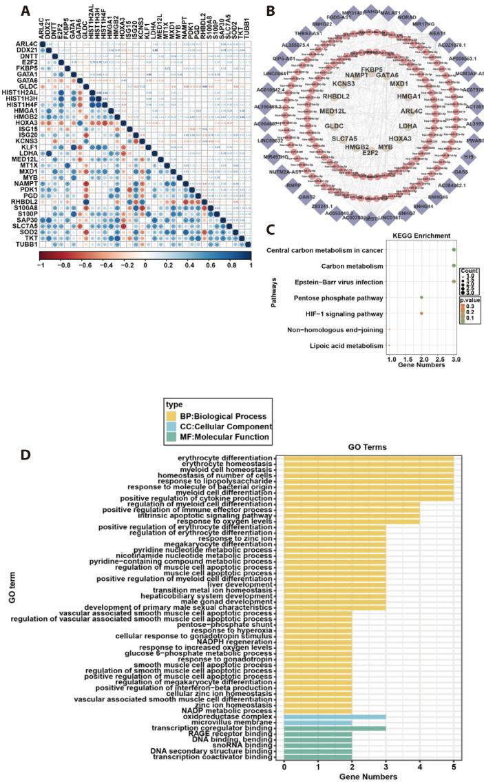 https://cdn.ncbi.nlm.nih.gov/pmc/blobs/471c/12012318/47a090c0e4dc/kjpp-29-3-359-f2.jpg