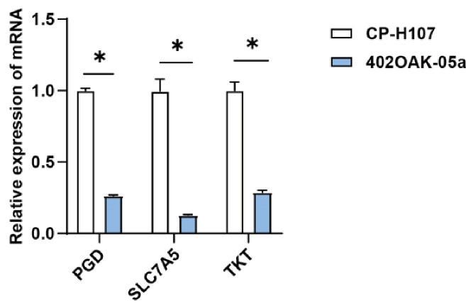 https://cdn.ncbi.nlm.nih.gov/pmc/blobs/471c/12012318/8f2f948ec115/kjpp-29-3-359-f7.jpg