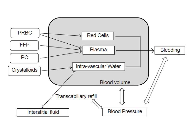 https://cdn.ncbi.nlm.nih.gov/pmc/blobs/471c/7724118/44563710f898/apm-20042f1.jpg