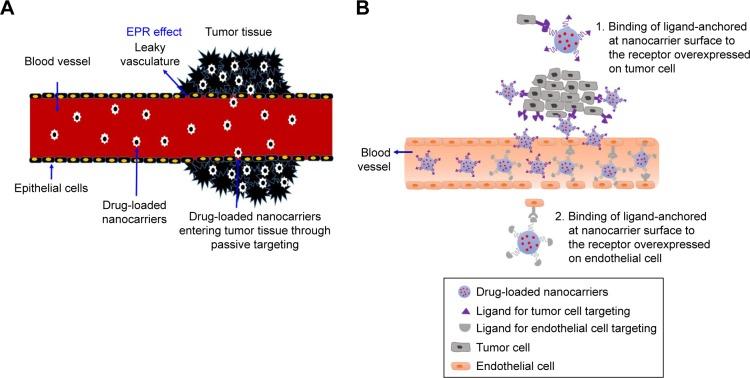 https://cdn.ncbi.nlm.nih.gov/pmc/blobs/471d/5634382/a0eb318e5a36/ijn-12-7291Fig9.jpg