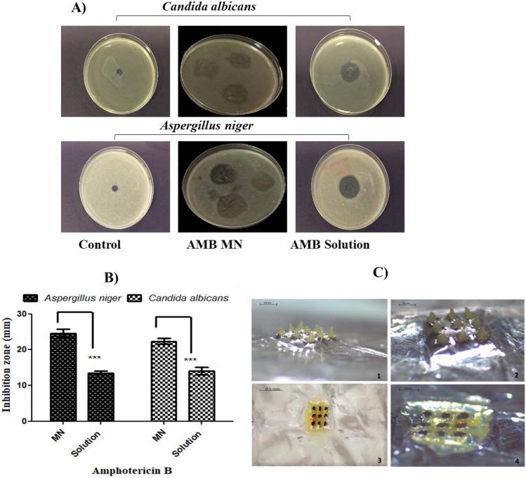 https://cdn.ncbi.nlm.nih.gov/pmc/blobs/471f/8888497/99683e39540b/13346_2021_1032_Fig6_HTML.jpg