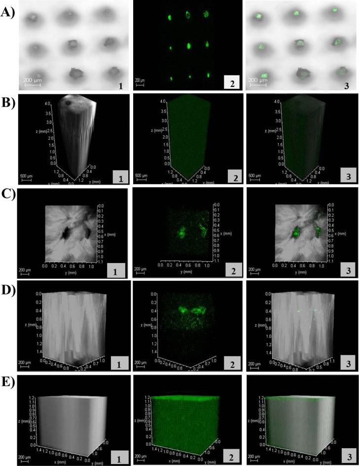 https://cdn.ncbi.nlm.nih.gov/pmc/blobs/471f/8888497/bec2ce04a037/13346_2021_1032_Fig5_HTML.jpg