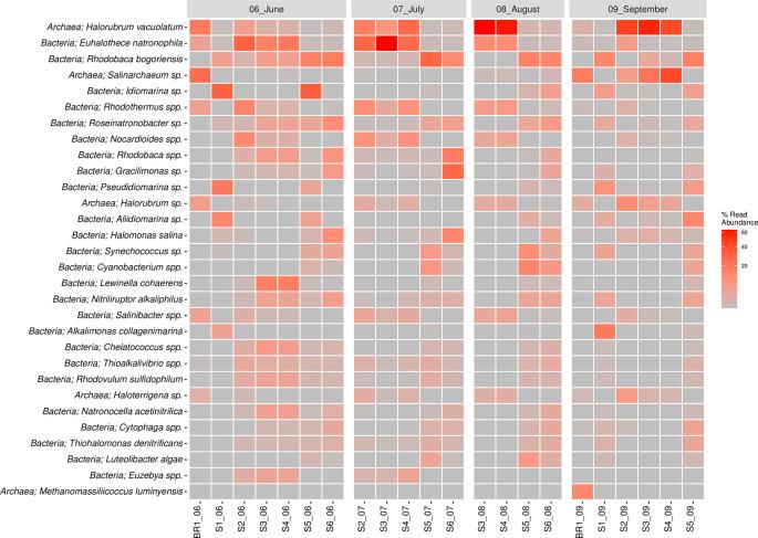 https://cdn.ncbi.nlm.nih.gov/pmc/blobs/4720/11555363/7aa7742833e7/f1000research-13-166004-g0004.jpg