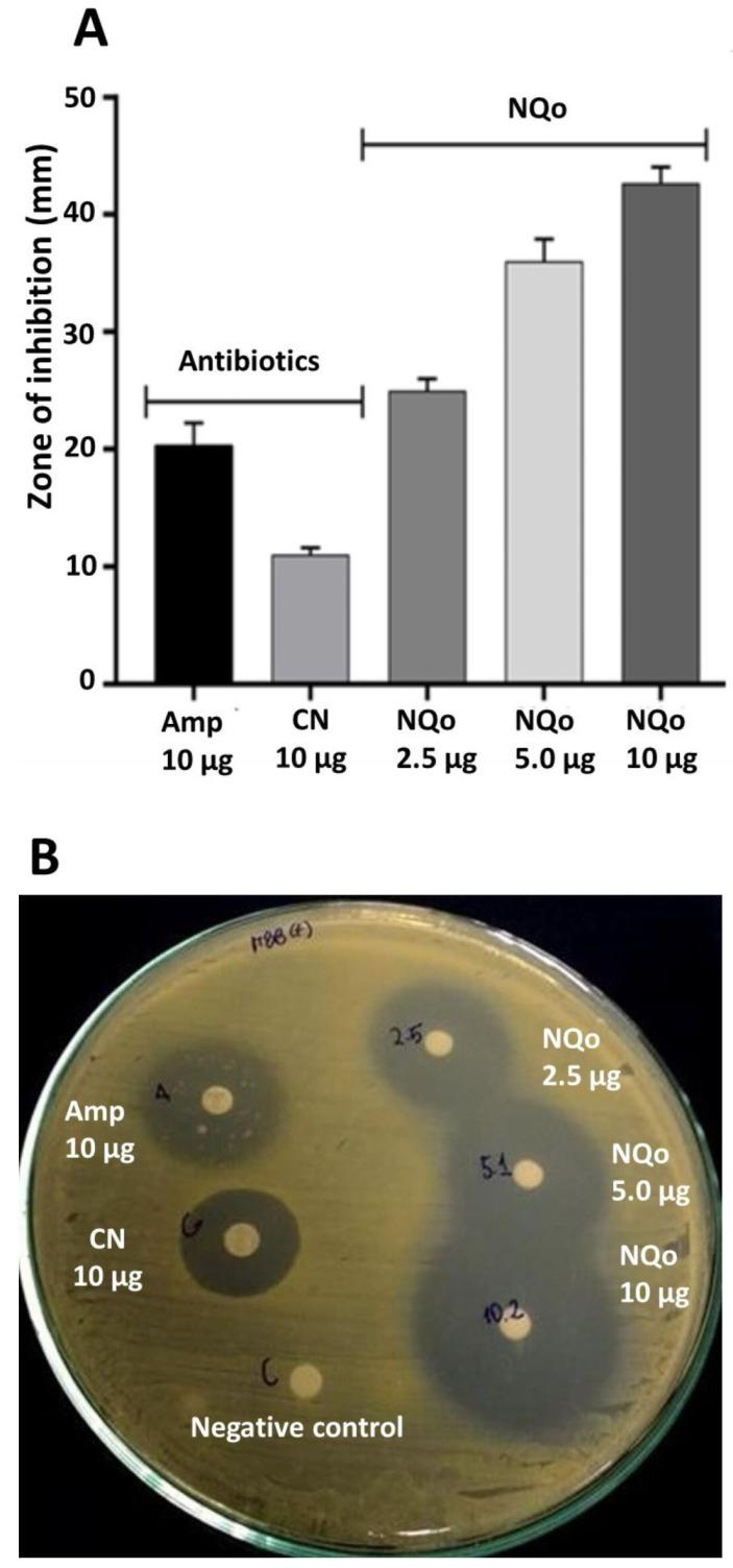https://cdn.ncbi.nlm.nih.gov/pmc/blobs/4720/11859599/05d6febe1ea8/pharmaceutics-17-00186-g003.jpg