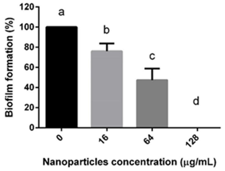 https://cdn.ncbi.nlm.nih.gov/pmc/blobs/4720/11859599/2082eca888c1/pharmaceutics-17-00186-g005.jpg