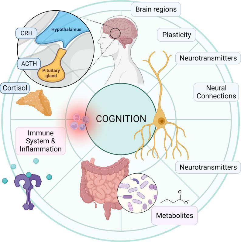 https://cdn.ncbi.nlm.nih.gov/pmc/blobs/4721/10316519/42703e454053/fendo-14-1130689-g006.jpg