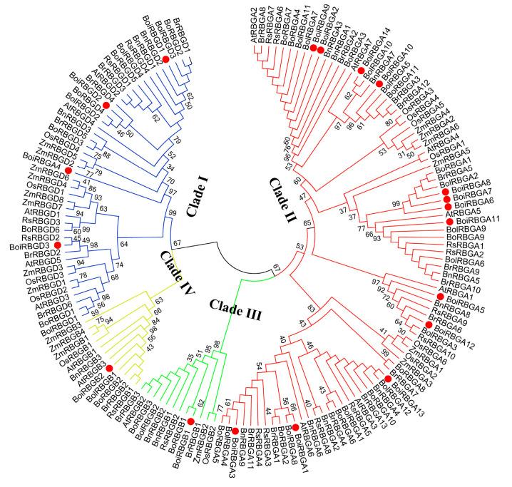 https://cdn.ncbi.nlm.nih.gov/pmc/blobs/4721/10649936/41fd7084d22c/plants-12-03706-g001.jpg