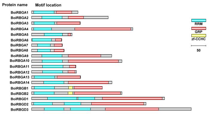 https://cdn.ncbi.nlm.nih.gov/pmc/blobs/4721/10649936/b0a71a648c1d/plants-12-03706-g005.jpg