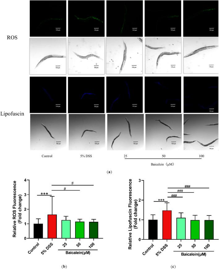 https://cdn.ncbi.nlm.nih.gov/pmc/blobs/4721/12241015/3f467030f281/fphar-16-1592244-g005.jpg