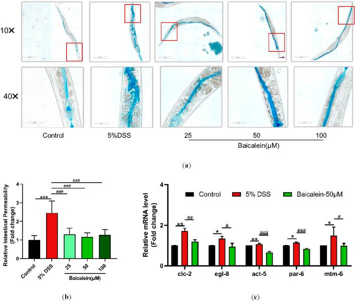 https://cdn.ncbi.nlm.nih.gov/pmc/blobs/4721/12241015/a6299976b031/fphar-16-1592244-g004.jpg