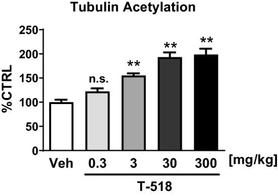 https://cdn.ncbi.nlm.nih.gov/pmc/blobs/4726/8322070/c4c64bd8d811/41598_2021_94923_Fig3_HTML.jpg