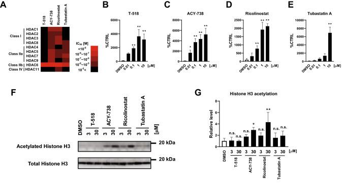 https://cdn.ncbi.nlm.nih.gov/pmc/blobs/4726/8322070/d0399f6f91d6/41598_2021_94923_Fig2_HTML.jpg