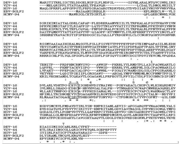 https://cdn.ncbi.nlm.nih.gov/pmc/blobs/4727/3179959/bb97b3b8a3fa/1743-422X-8-413-1.jpg