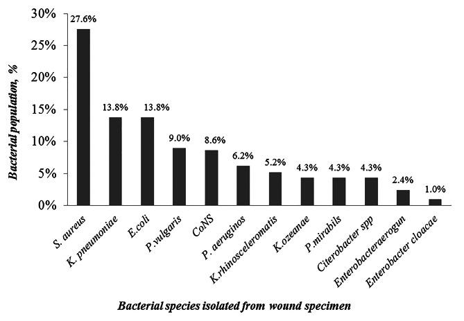 https://cdn.ncbi.nlm.nih.gov/pmc/blobs/4728/11097502/dc2749462e3e/12866_2024_3324_Fig1_HTML.jpg