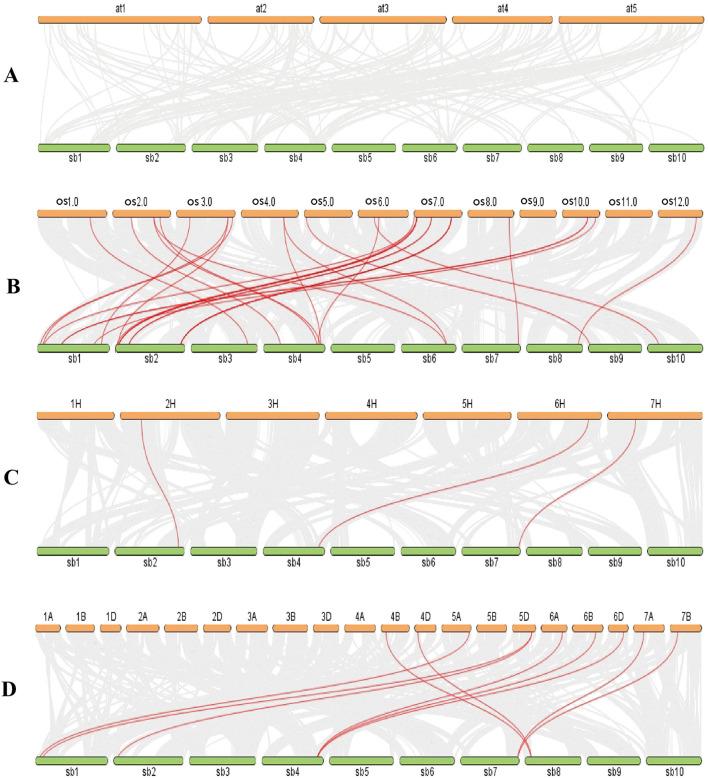 https://cdn.ncbi.nlm.nih.gov/pmc/blobs/4728/11518778/74d373fee401/fgene-15-1464537-g003.jpg
