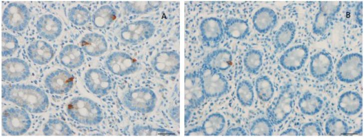 https://cdn.ncbi.nlm.nih.gov/pmc/blobs/4729/6723613/31c0ec15e762/nutrients-11-01824-g003.jpg