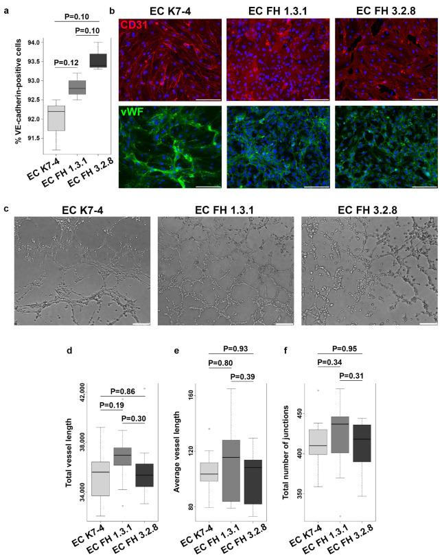 https://cdn.ncbi.nlm.nih.gov/pmc/blobs/472a/10815294/3a91d246b235/ijms-25-00689-g001.jpg