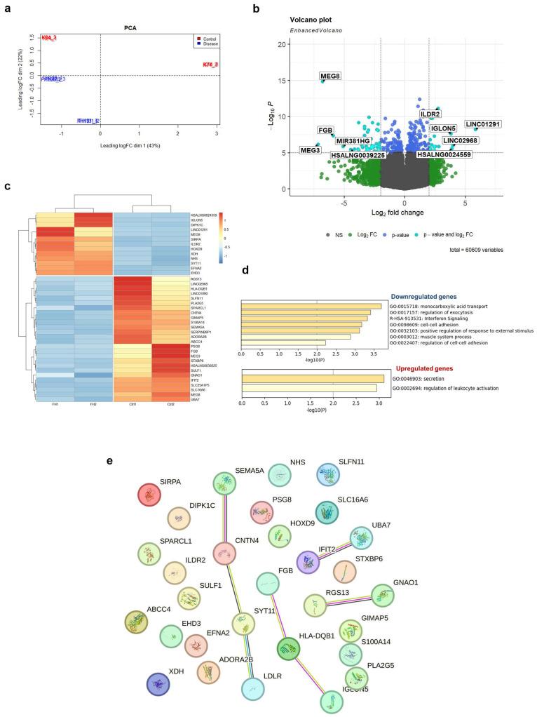 https://cdn.ncbi.nlm.nih.gov/pmc/blobs/472a/10815294/afb4a29ed978/ijms-25-00689-g004.jpg