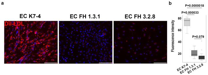 https://cdn.ncbi.nlm.nih.gov/pmc/blobs/472a/10815294/c5f4b4f8b6f9/ijms-25-00689-g002.jpg