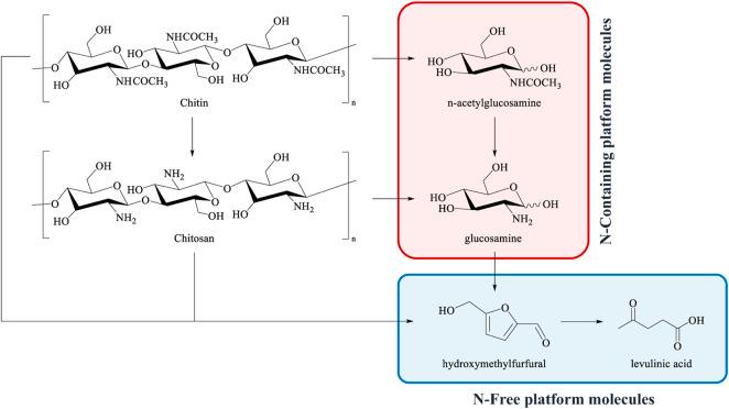 https://cdn.ncbi.nlm.nih.gov/pmc/blobs/472a/9666760/8d85126dfa7b/fchem-10-1057461-g001.jpg