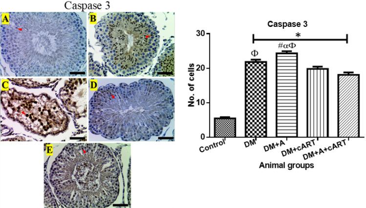 https://cdn.ncbi.nlm.nih.gov/pmc/blobs/4730/10787109/a5b4435f8477/43188_2023_200_Fig5_HTML.jpg